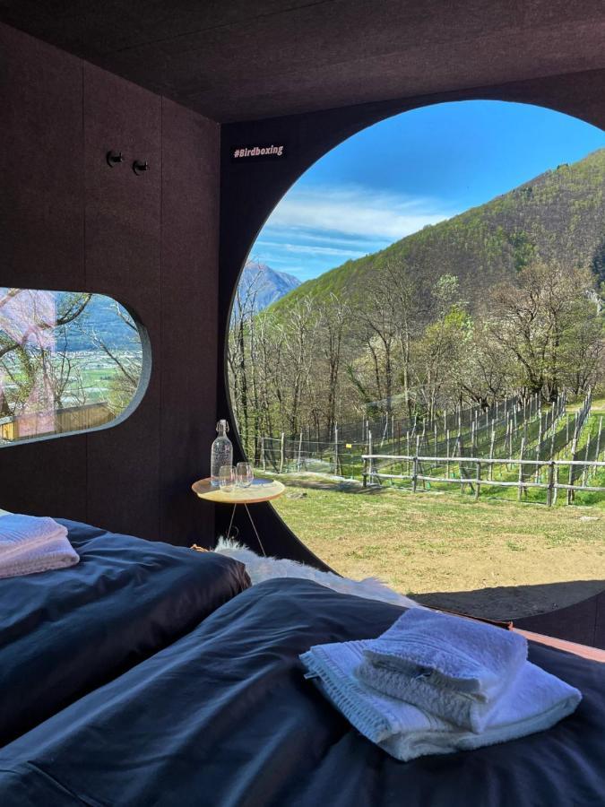 Birdbox Curzutt Monte Carasso