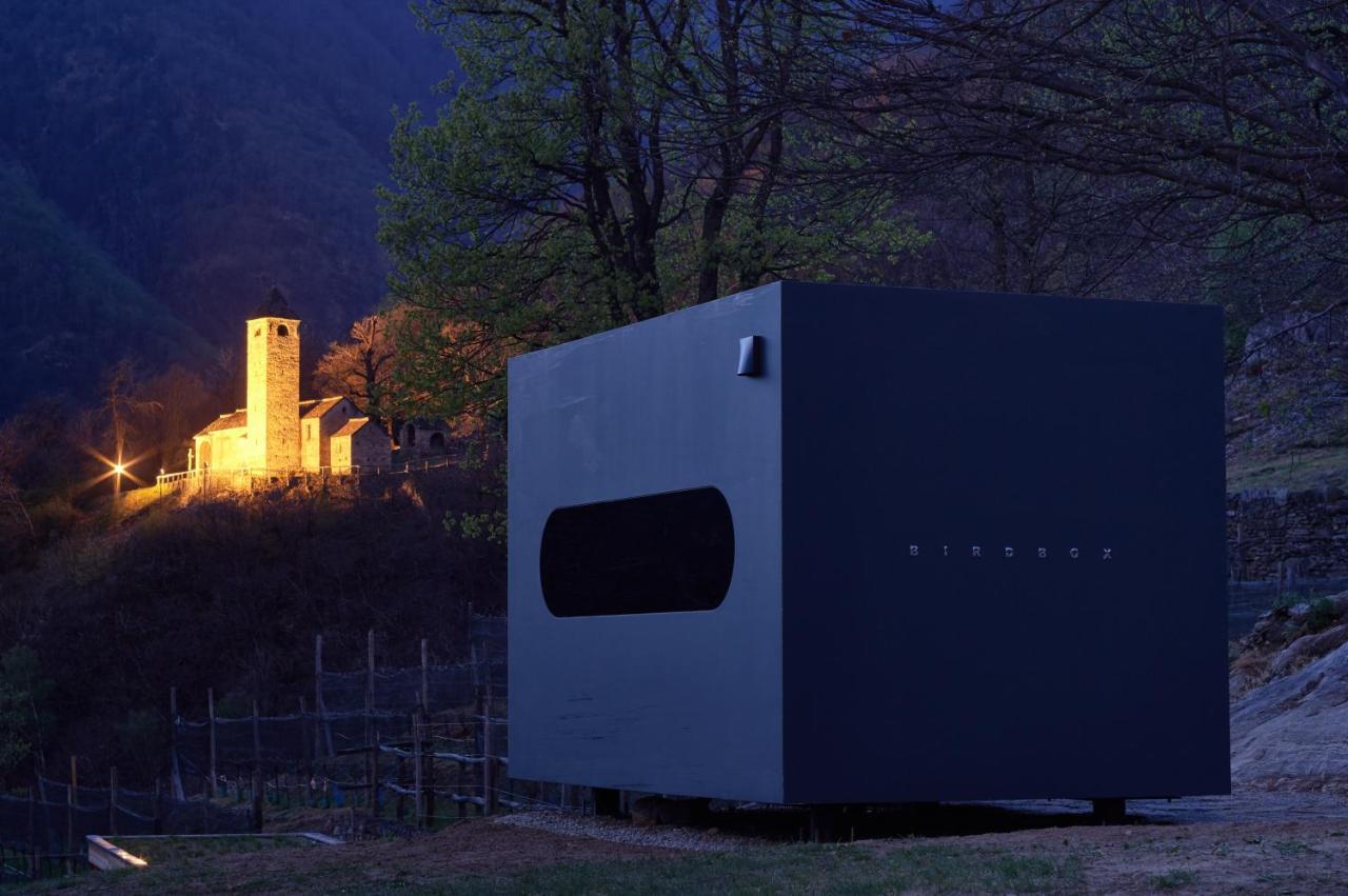 Luxury tent Birdbox Curzutt