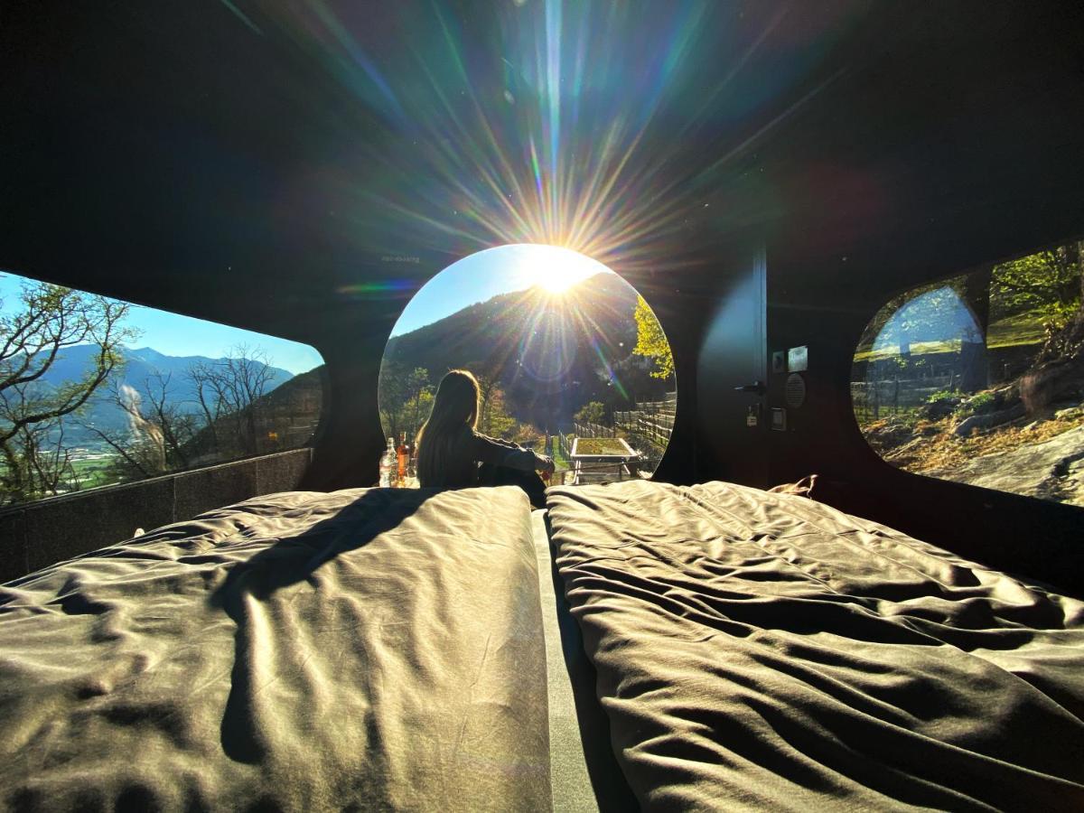Birdbox Curzutt * Monte Carasso