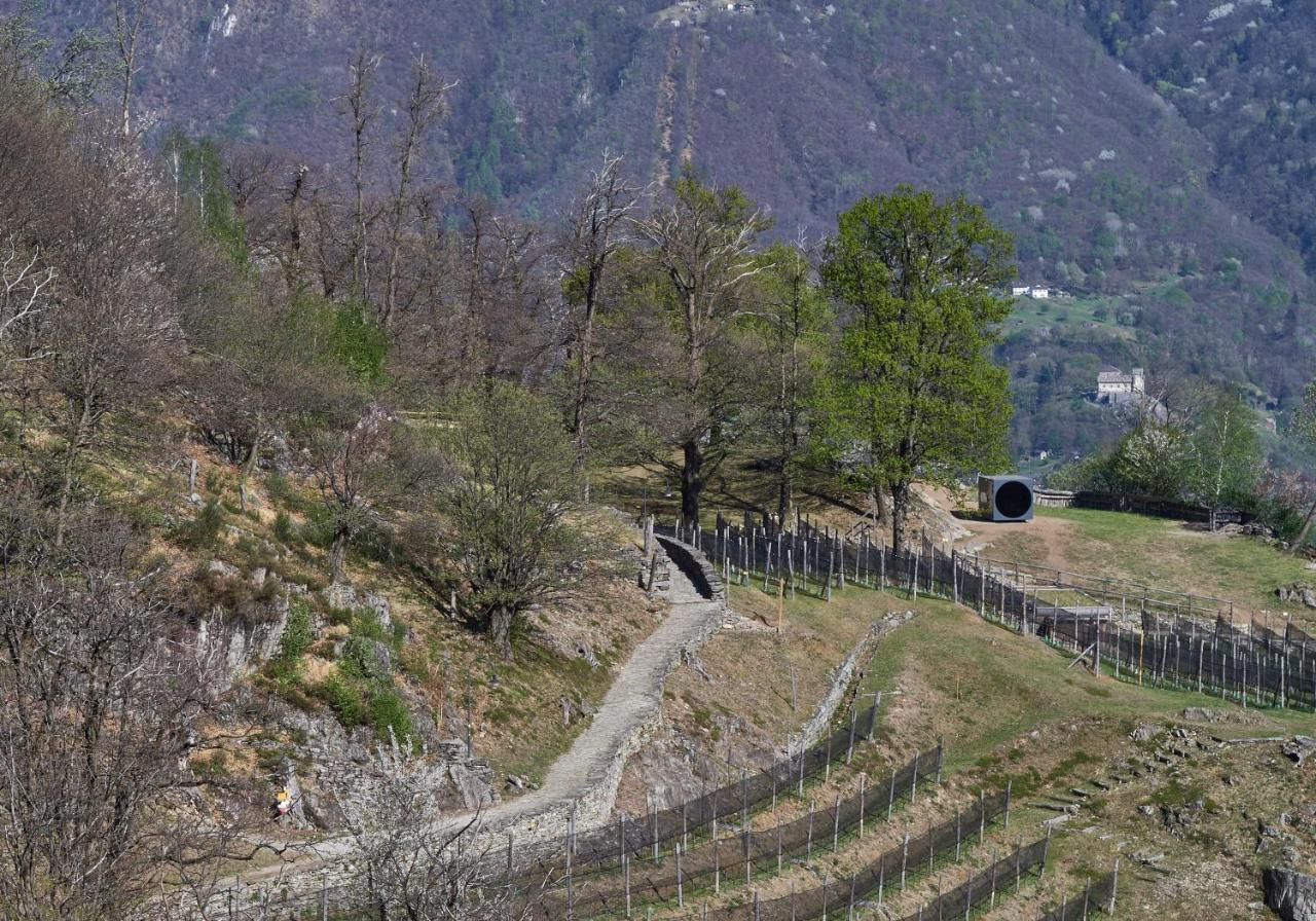 Birdbox Curzutt * Monte Carasso