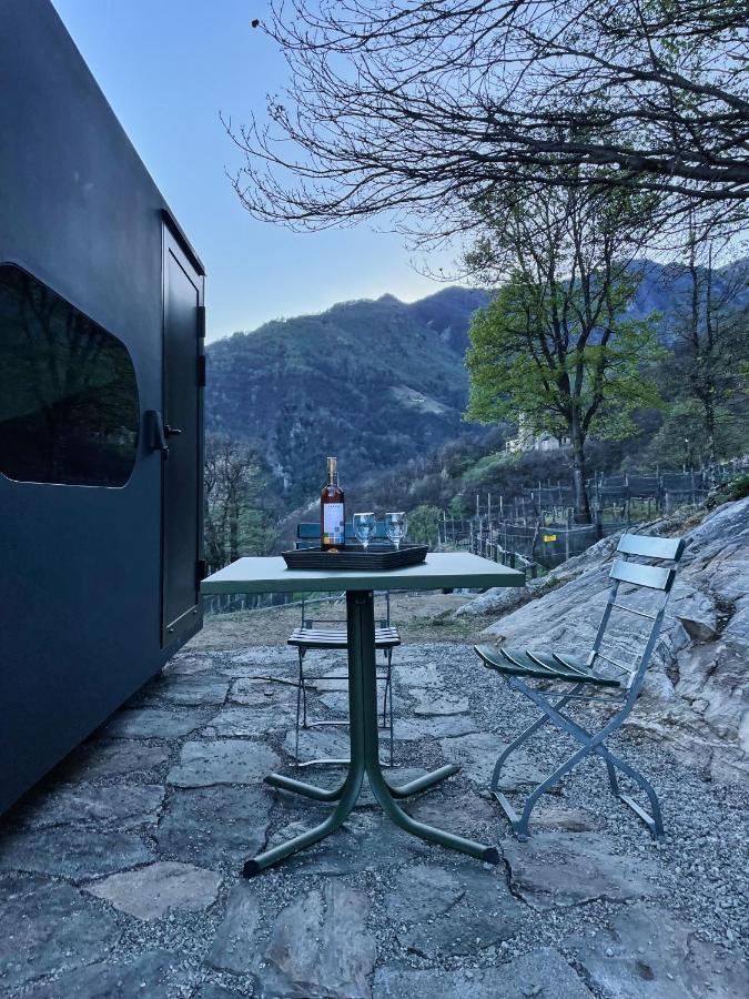 Birdbox Curzutt * Monte Carasso