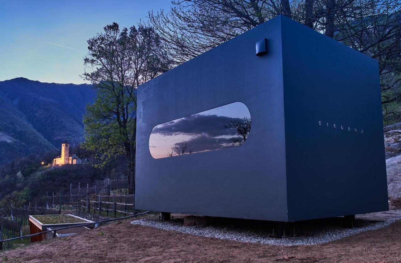 Birdbox Curzutt * Monte Carasso