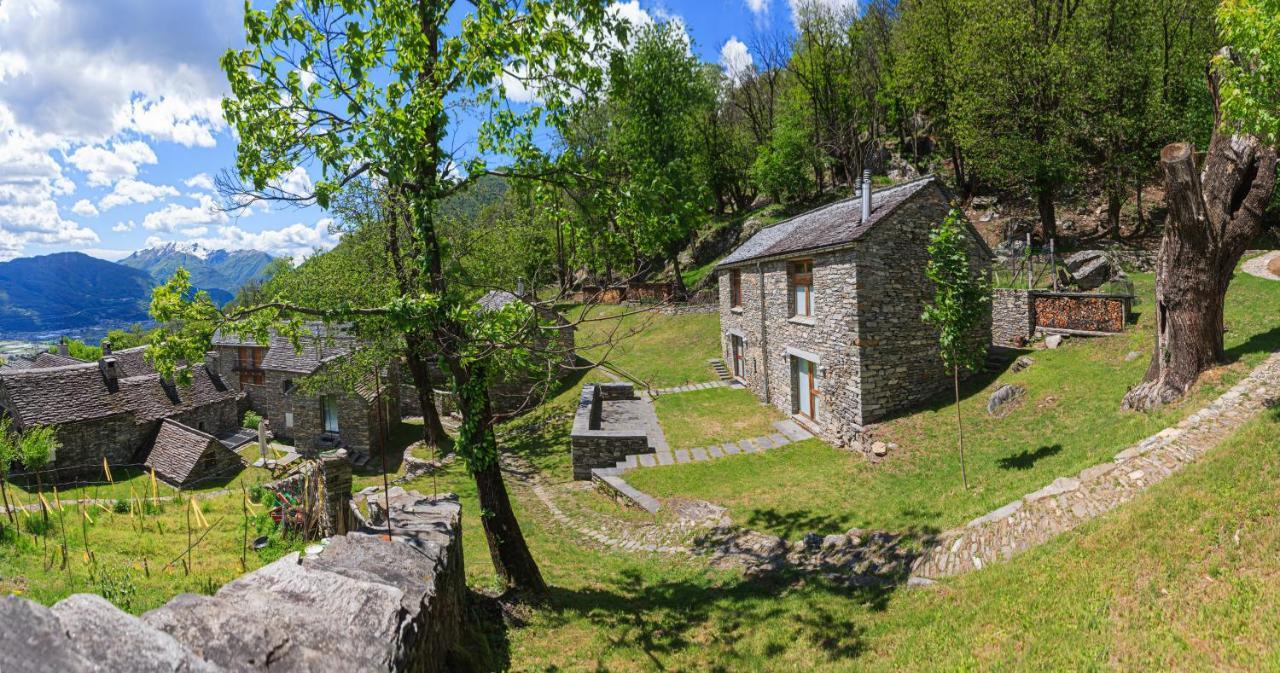 Birdbox Curzutt Monte Carasso
