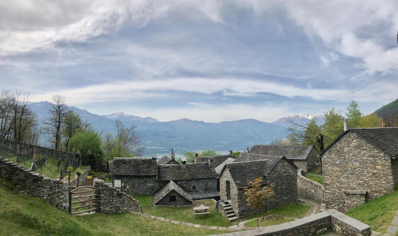 Birdbox Curzutt Campismo de Luxo *