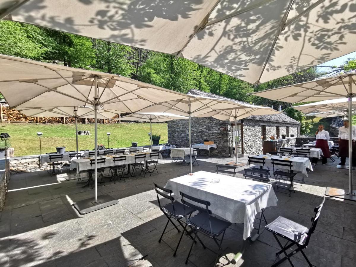 Birdbox Curzutt Monte Carasso