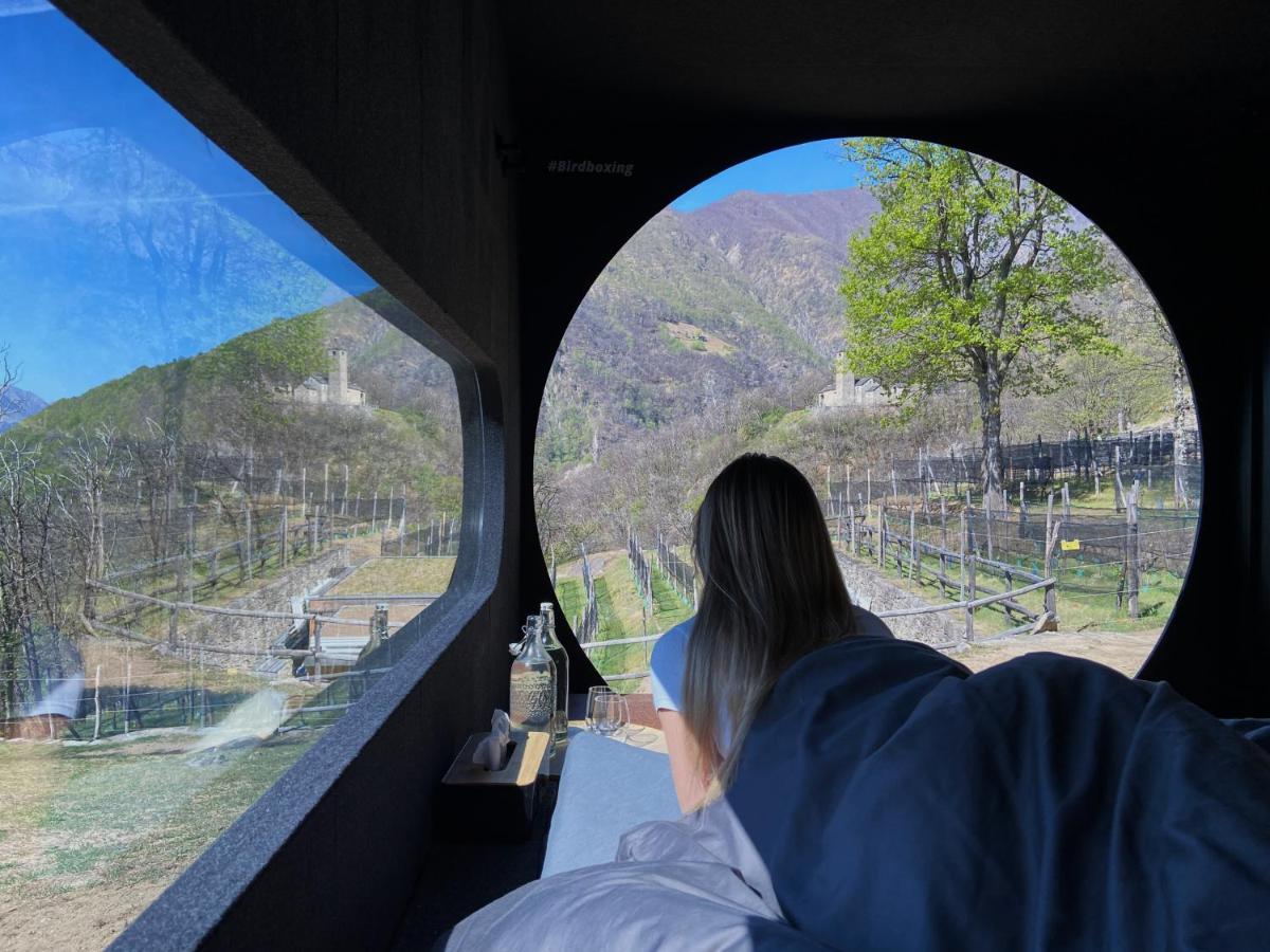 Birdbox Curzutt Luxusní stan
